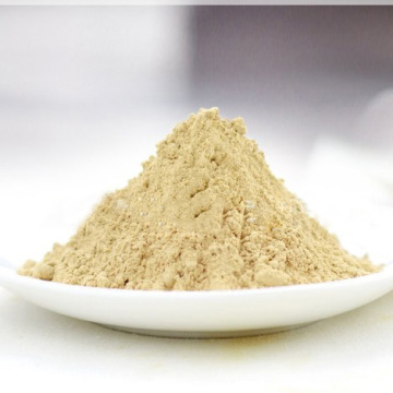 Organic White Tea fanningsextract powders